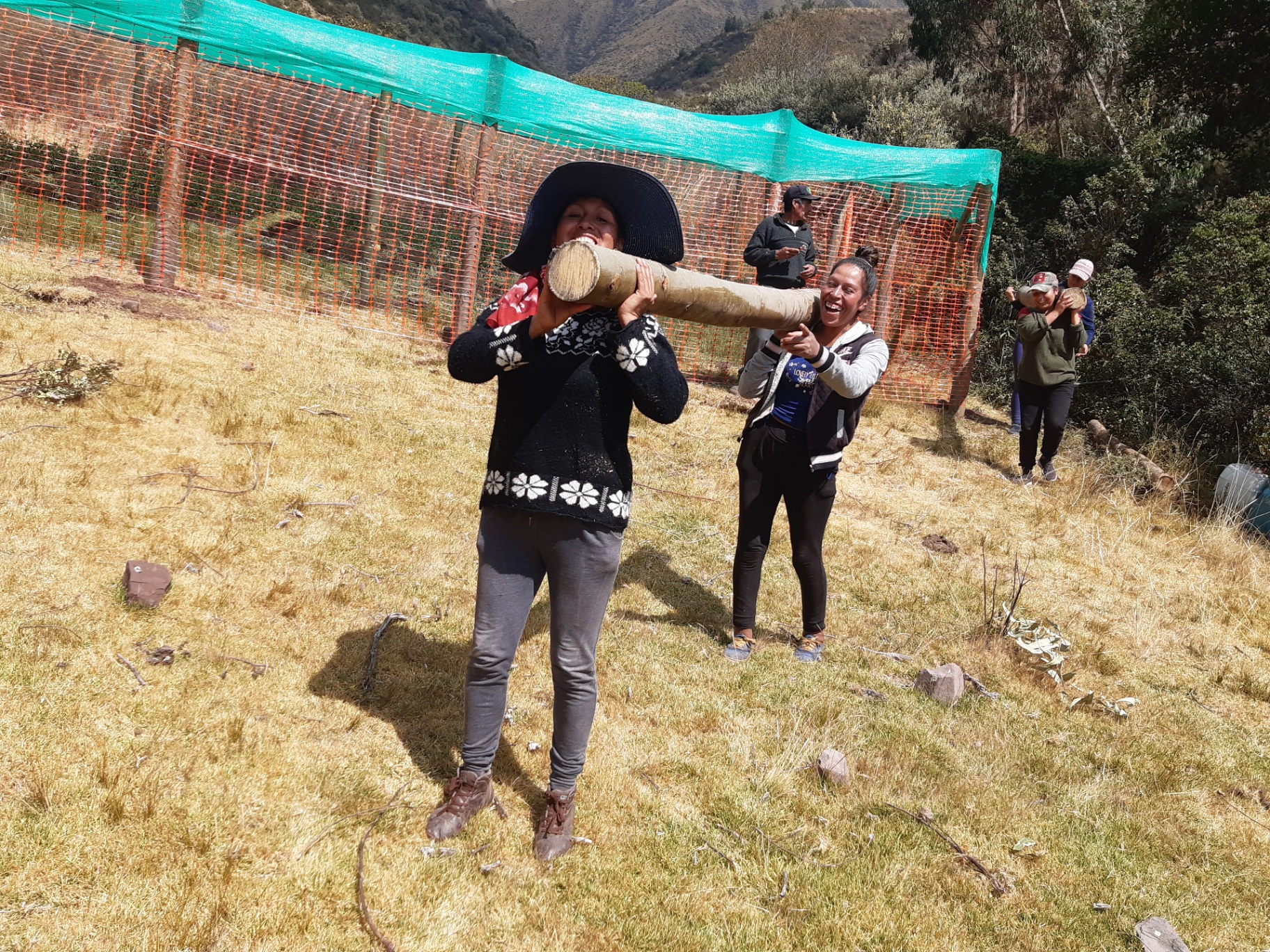 Community members carrying materials for restoration work in the Andes
