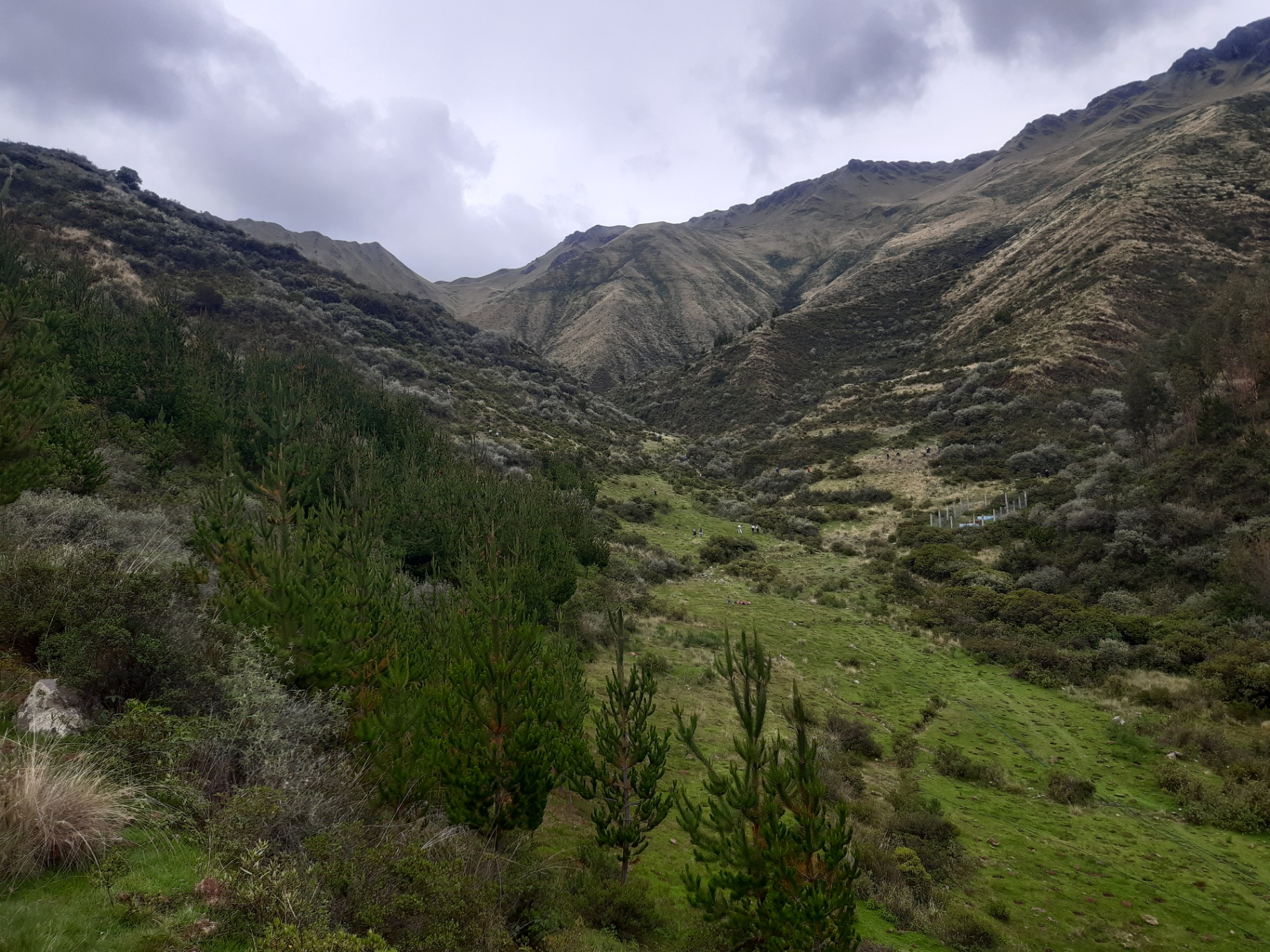 High Andes landscape in Huarocondo, Cusco being restored by the Pachaillariy Project
