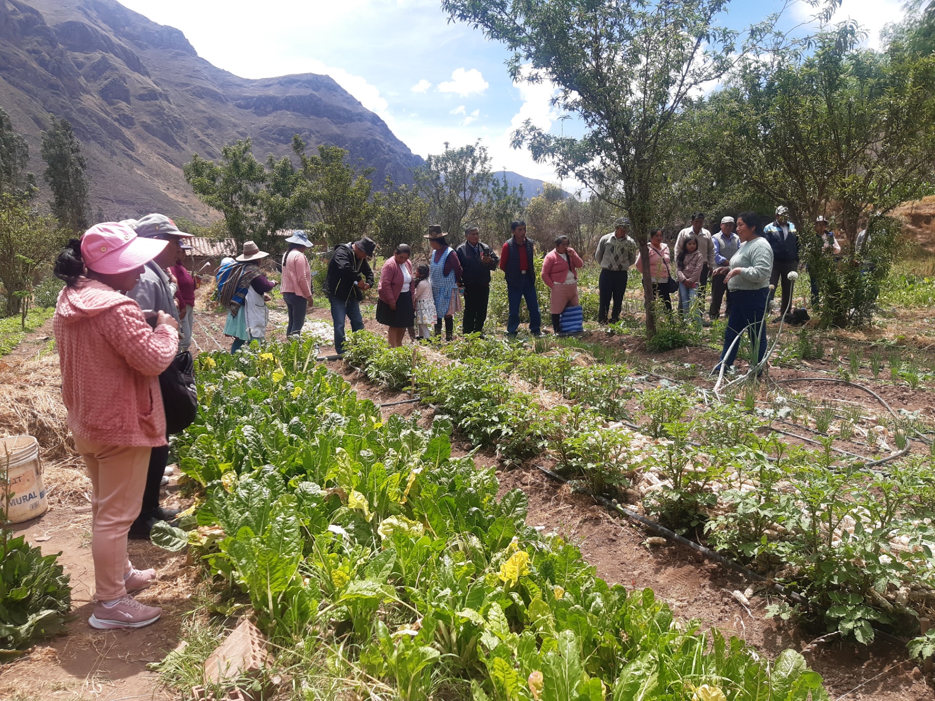 Community gathering around a productive garden supported by the project