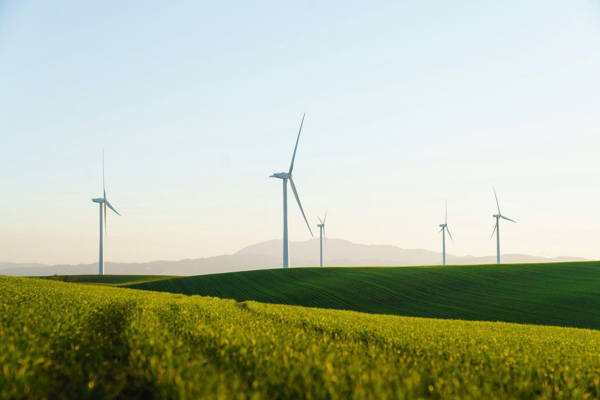 Was bedeutet „Net Zero“ eigentlich?